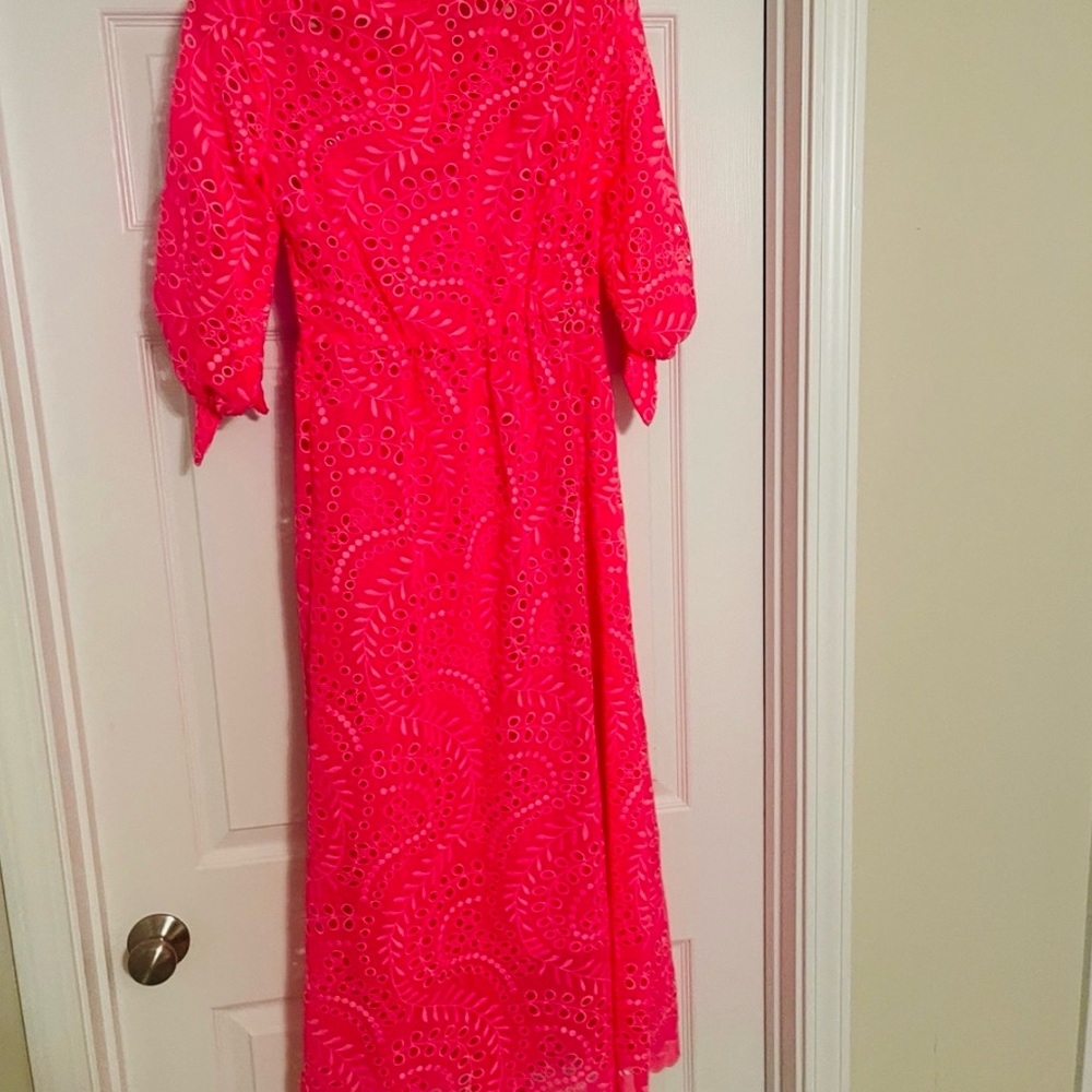 Lilly Pulitzer Amrita Pink Maxi Dress - Picture 3 of 6